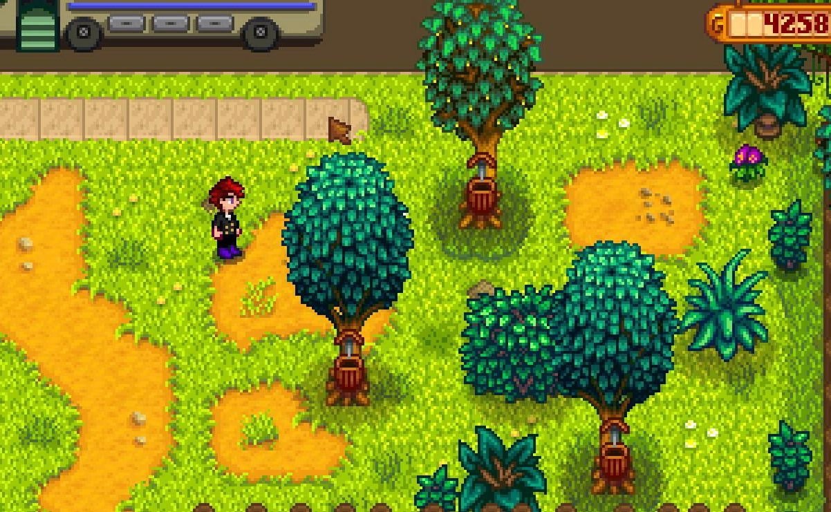 最后生还者2 豪华版 截图2