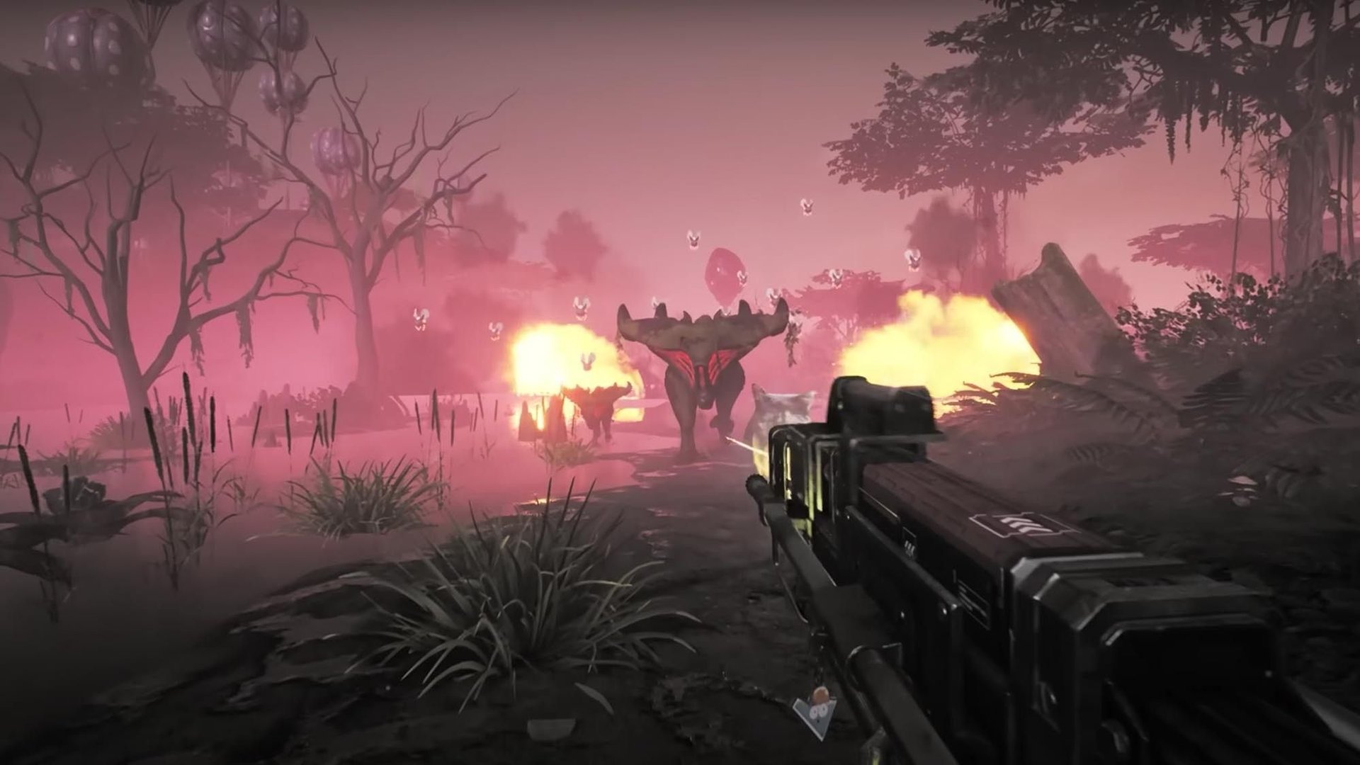 F1 2024 豪华版 截图7